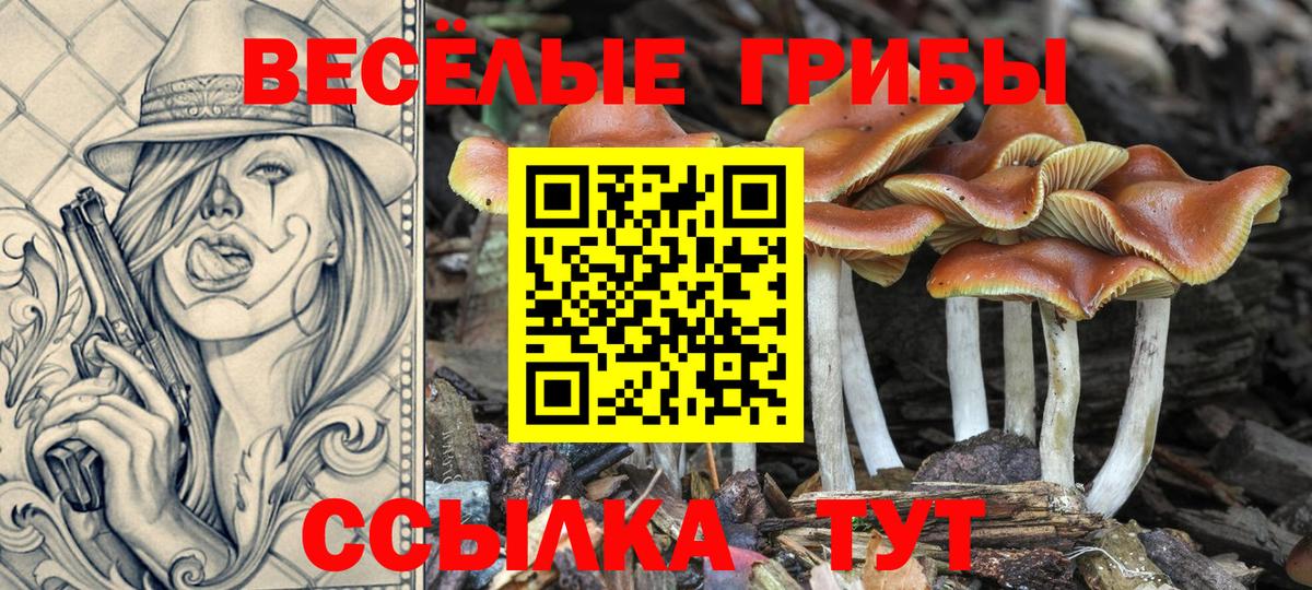 Псилоцибиновые грибы MAGIC MUSHROOMS Новочебоксарск