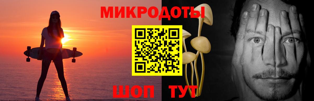 Галлюциногенные грибы Magic Shrooms  Вход с VPN  Новочебоксарск  Галлюциногенные грибы Psilocybe 
